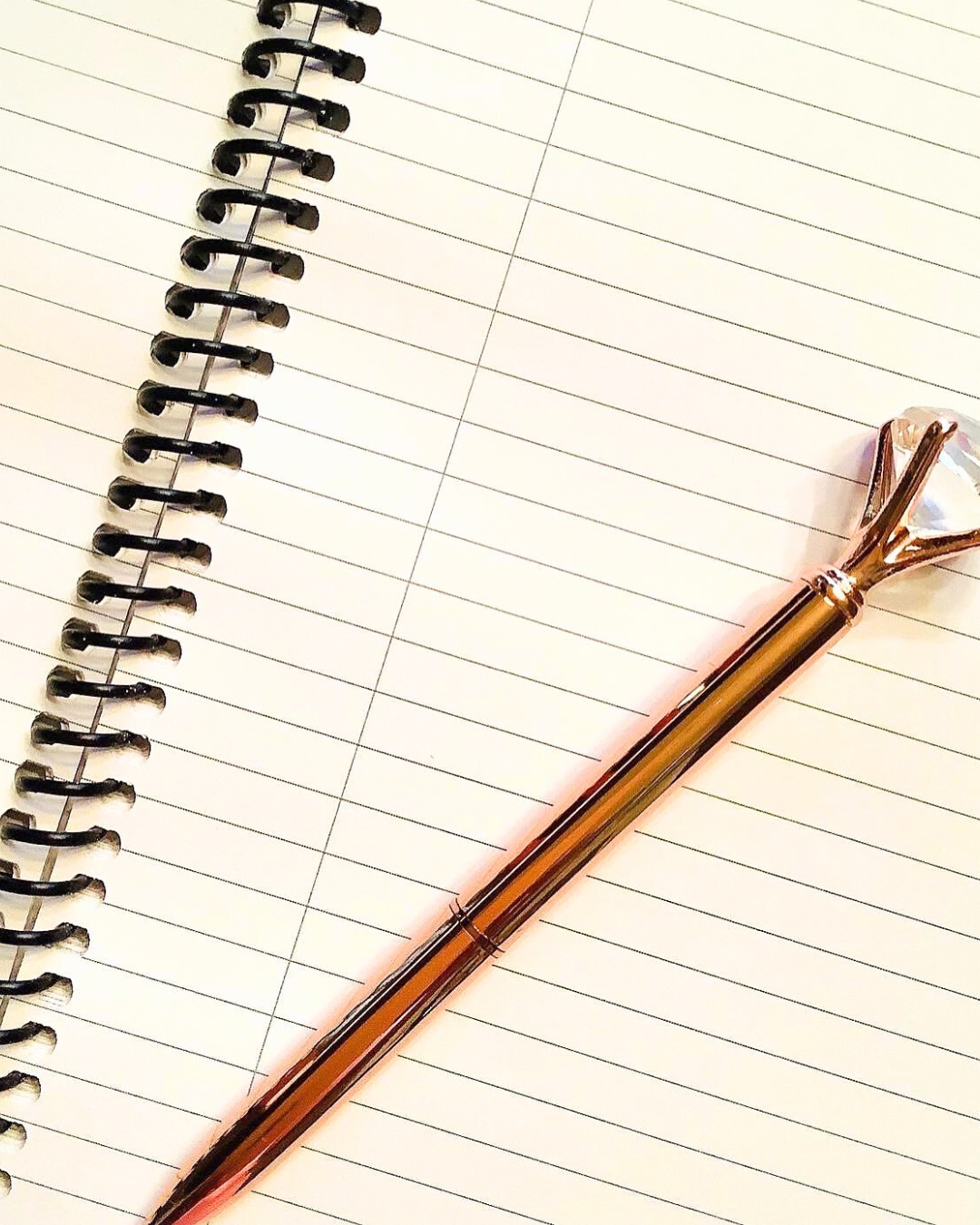 Write the Vision Luxury Notebook